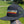 Hoppy Camper Insignia Hat with Retro Logo