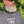 Hoppy Camper Hoodie