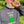 Hoppy Camper Hoodie